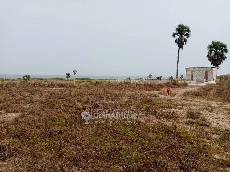 Terrain 250m² à Vendre Pointe-Noire