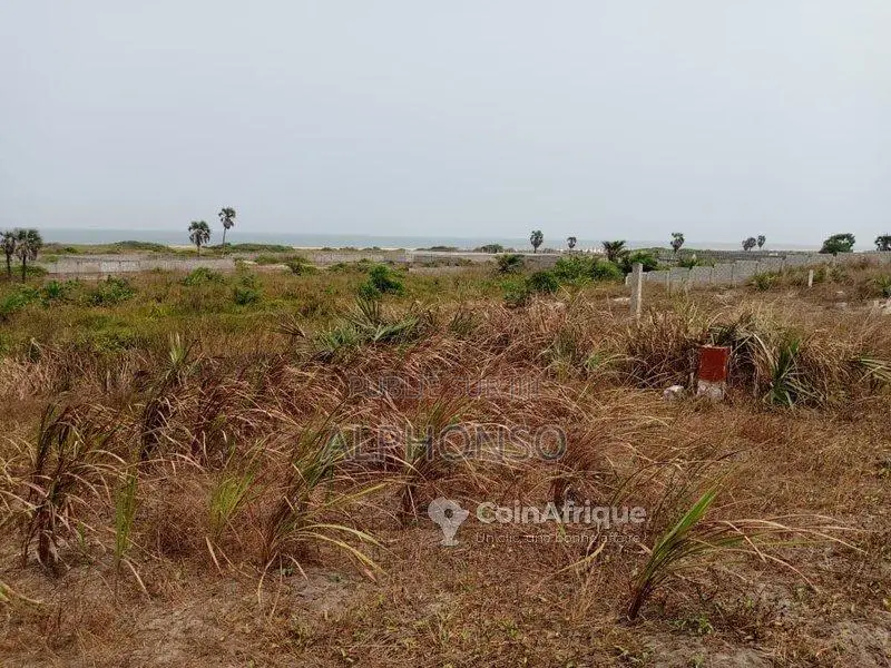 Terrain 250m² à Vendre Pointe-Noire