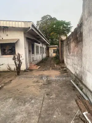 Photo - Terrain - Loandjili