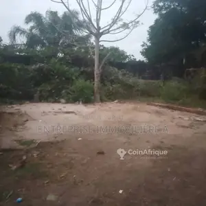 Photo - Terrains 400m²  - Pointe-noire