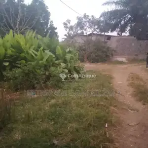 Terrains 400m²  - Pointe-noire