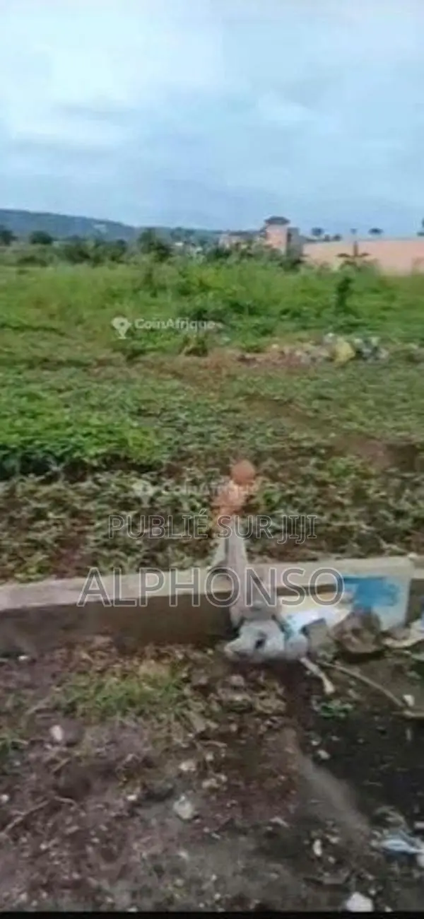 Terrain 2400 m² - Brazzaville