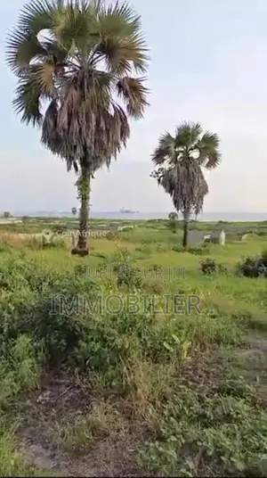 Photo - Parcelle 500m² -  Pointe Noire