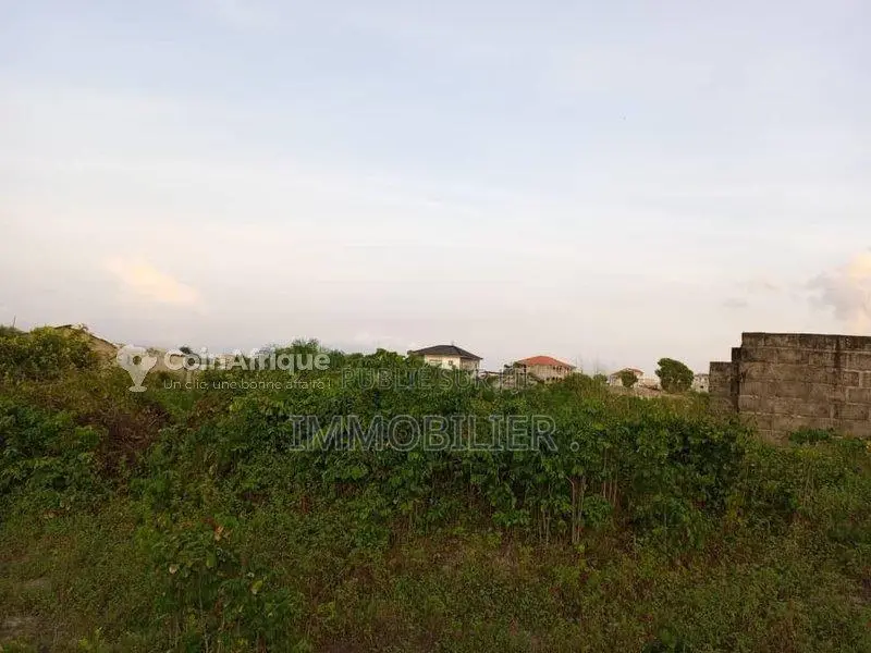 Parcelle 500m² -  Pointe Noire