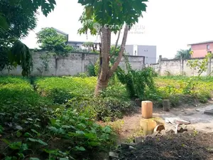 Photo - Terrain  400m² -Brazzaville