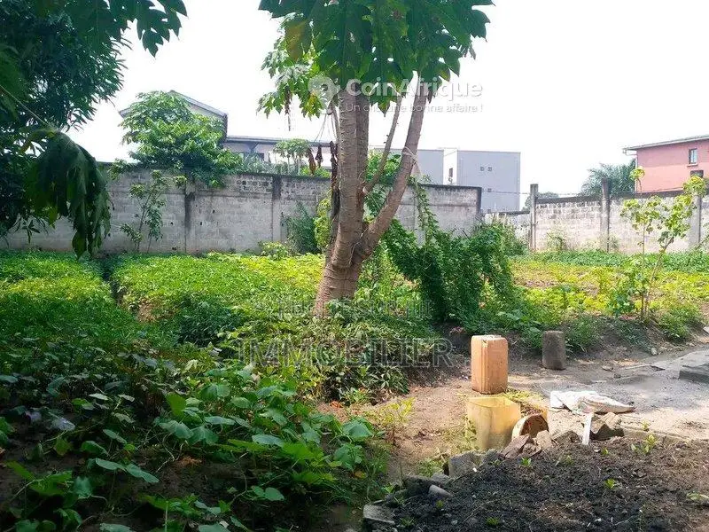 Terrain  400m² -Brazzaville