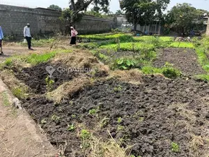 Photo - Terrain Agricole 1300m² Constructible Massassia - 3 Parcelles Ruisseau