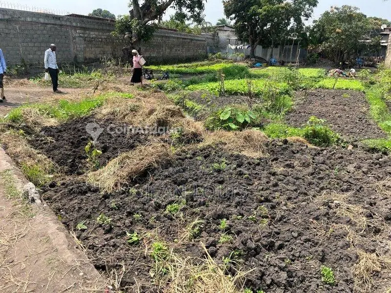 Terrain Agricole 1300m² Constructible Massassia - 3 Parcelles Ruisseau