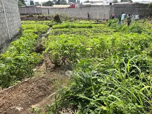 Terrain Agricole 1300m² Constructible Massassia - 3 Parcelles Ruisseau