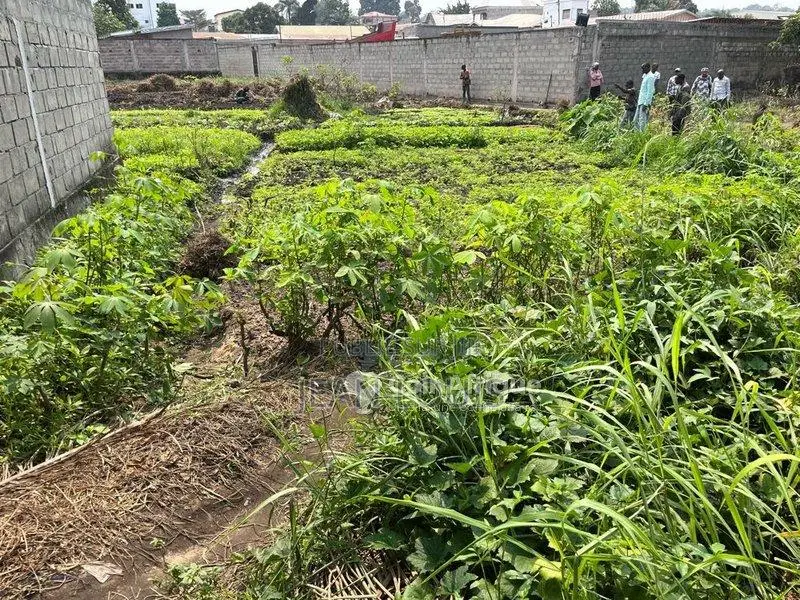 Terrain Agricole 1300m² Constructible Massassia - 3 Parcelles Ruisseau