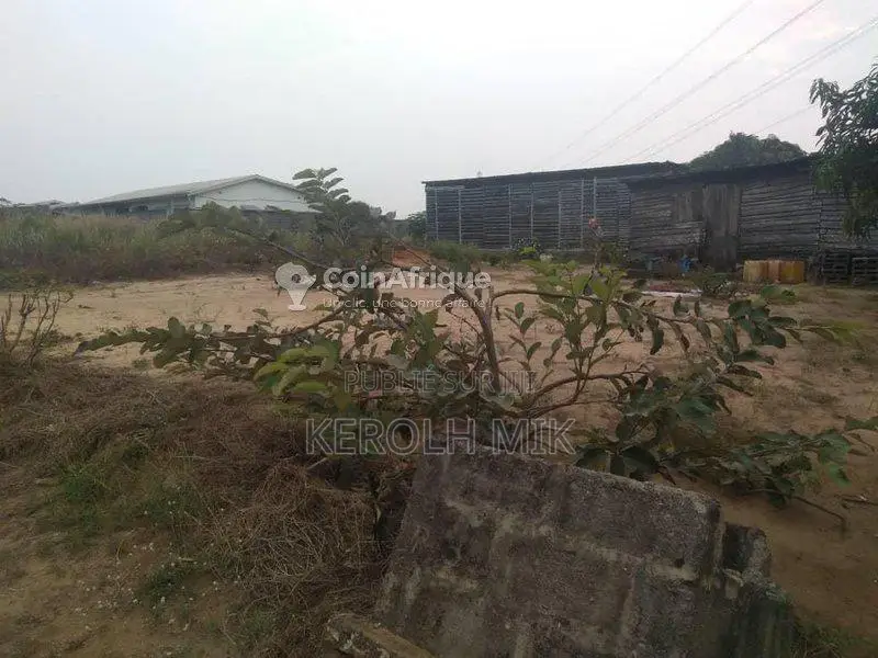 Terrains 400m²  - Pointe-noire