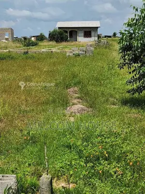 Photo - Parcelle à Tchibala