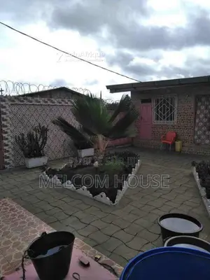 Terrain commercial - Mont Kamba