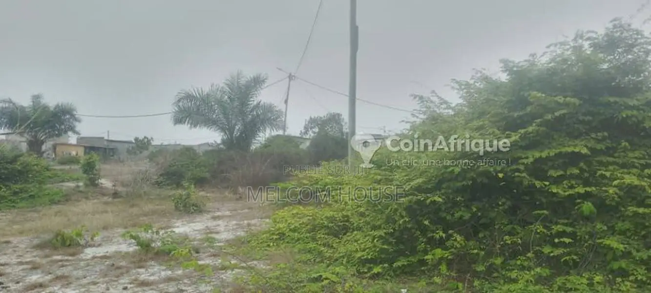 Parcelle à Ngoyo