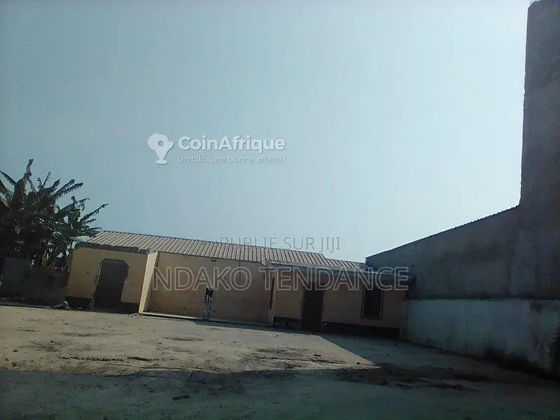 Terrain 1000m² - Ngoyo