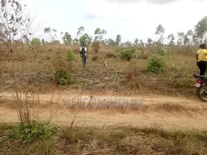 Photo - Terrain agricole 5000m² - Boutoto