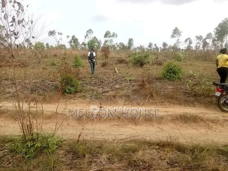 Terrain agricole 5000m² - Boutoto