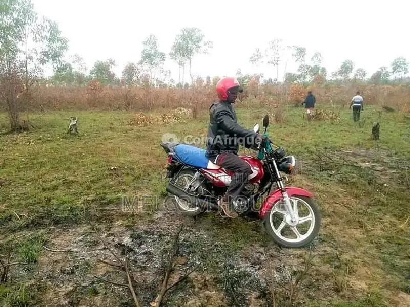 Terrain agricole 5000m² - Boutoto