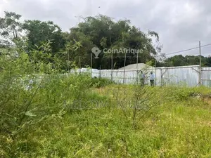 Terrain 600 m² - Mpita