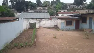 Photo - Parcelle + 2 maisons inclus - Makélékélé