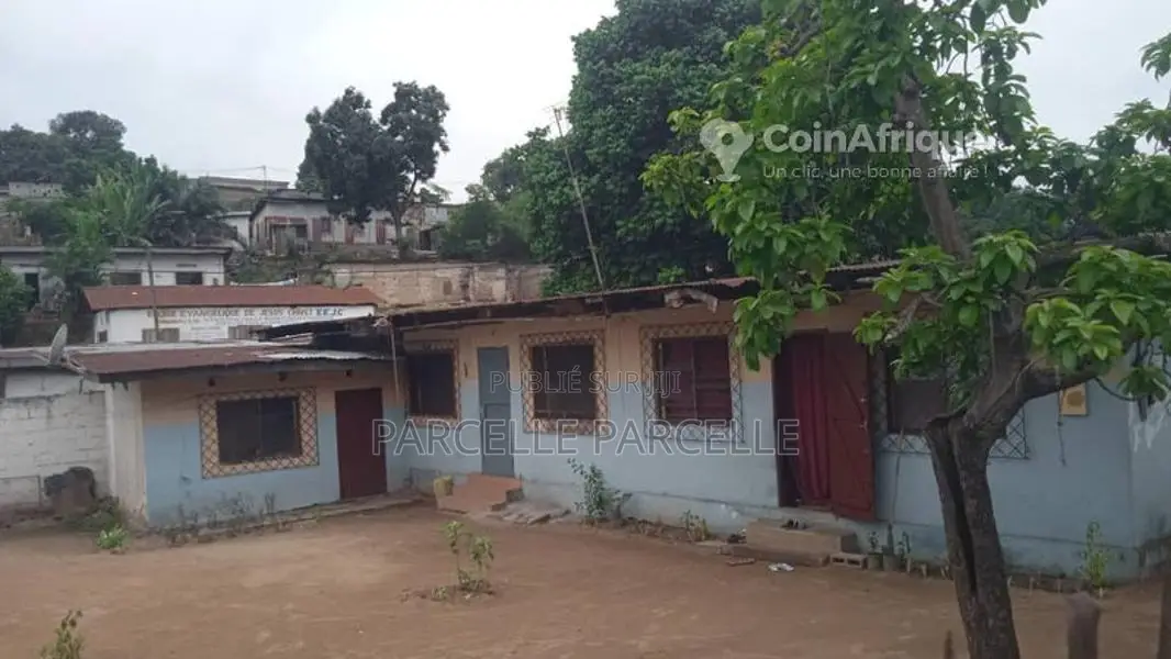 Parcelle + 2 maisons inclus - Makélékélé