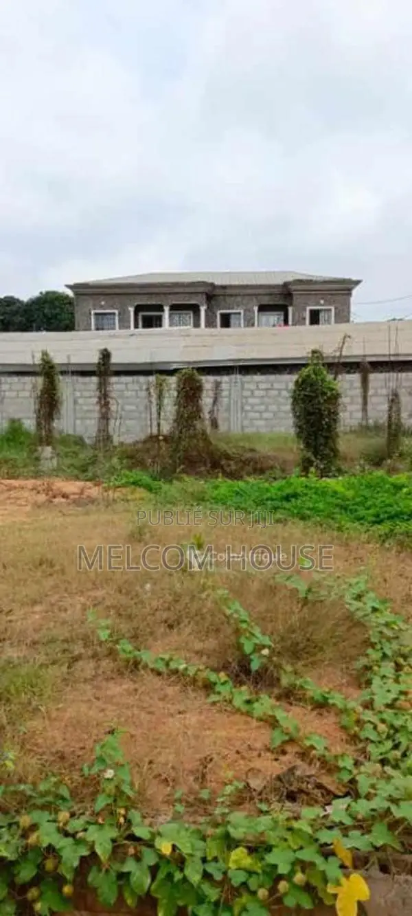 Terrain 1/2 lot - Songolo