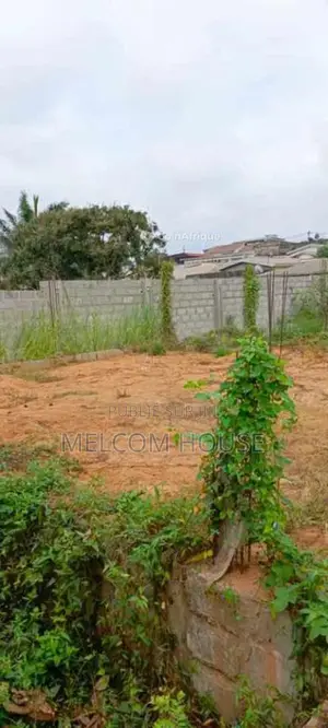 Terrain 1/2 lot - Songolo