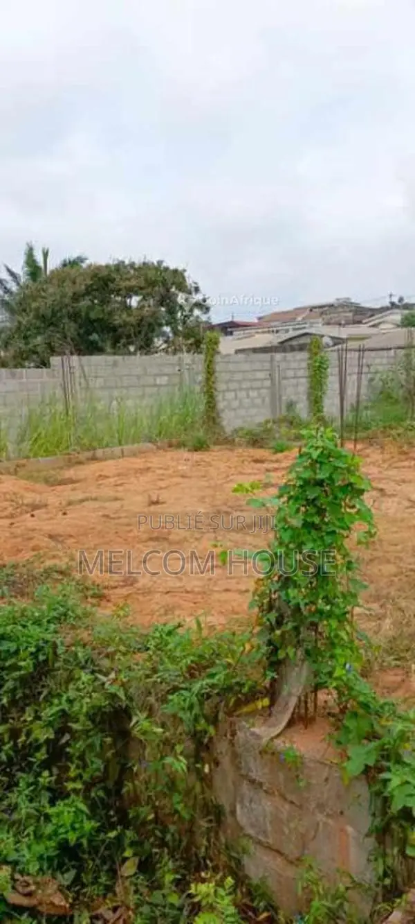 Terrain 1/2 lot - Songolo