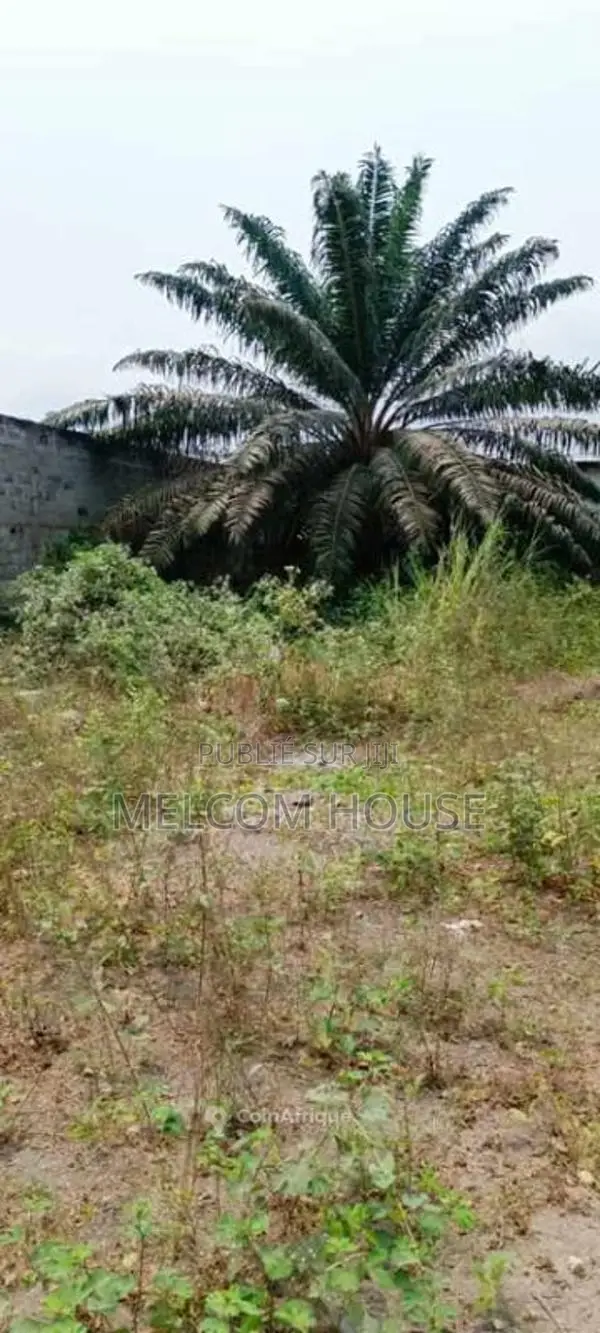 Terrain 500 m² - Mpaka