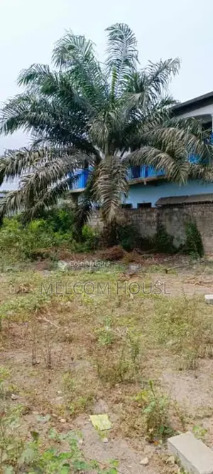 Terrain 500 m² - Mpaka