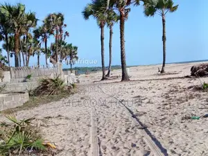 Photo - Parcelle - plage de Djeno