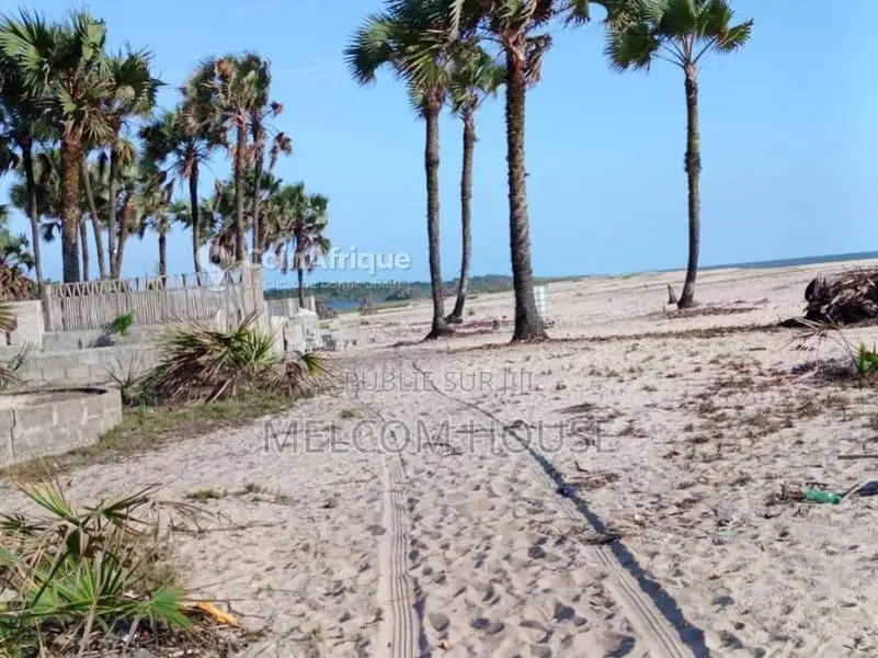 Parcelle - plage de Djeno