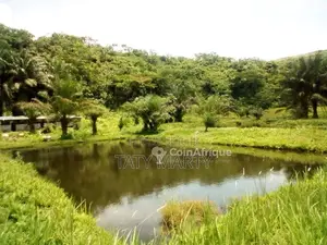 Photo - Domaine agricole 22ha - Kombo - Matari