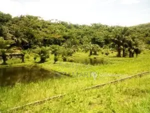 Domaine agricole 22ha - Kombo - Matari