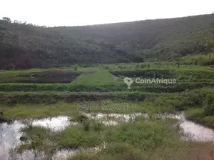 Domaine agricole 22ha - Kombo - Matari