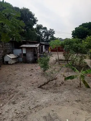 Photo - Terrain 1/2 lot - Siafoumou