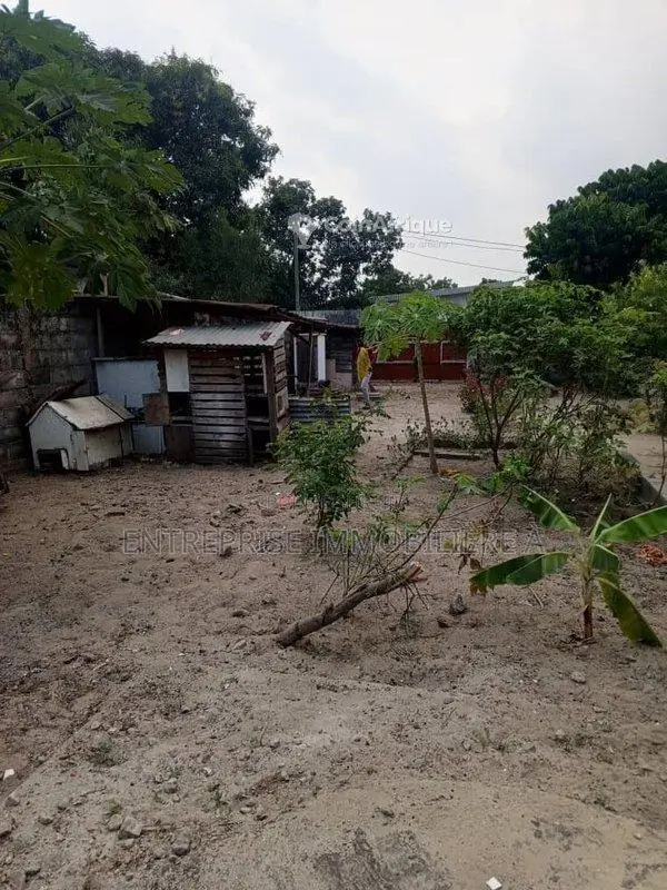 Terrain 1/2 lot - Siafoumou