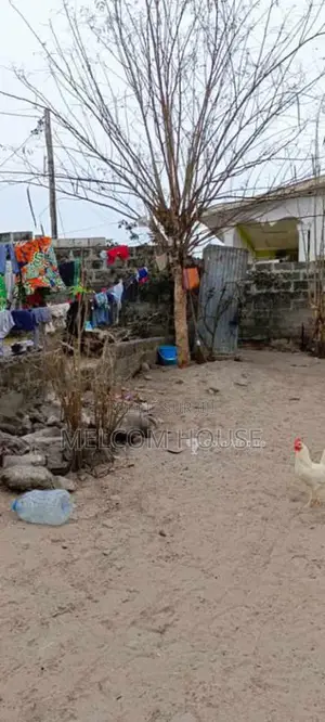 Terrain 250 m² - Pointe Noire