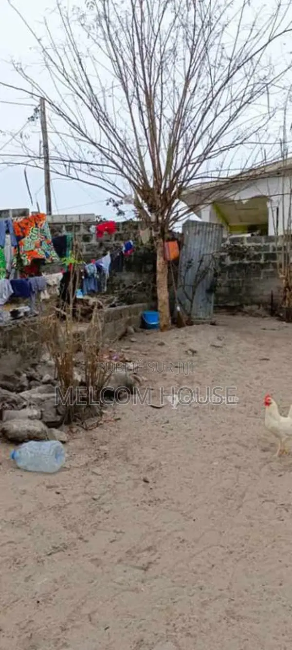 Terrain 250 m² - Pointe Noire