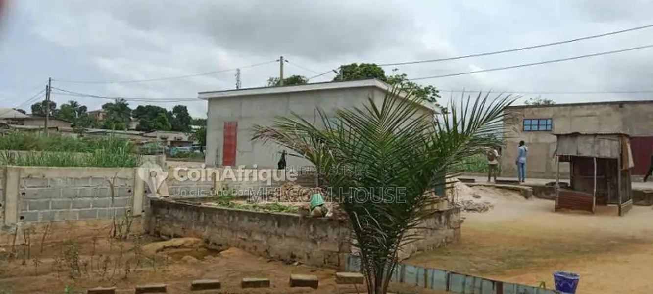 Parcelle 500m² - Nkouikou