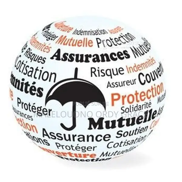 Conseils en assurances - Gestion des dossiers sinistres