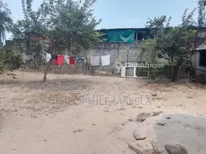 Photo - Parcelle - Songolo