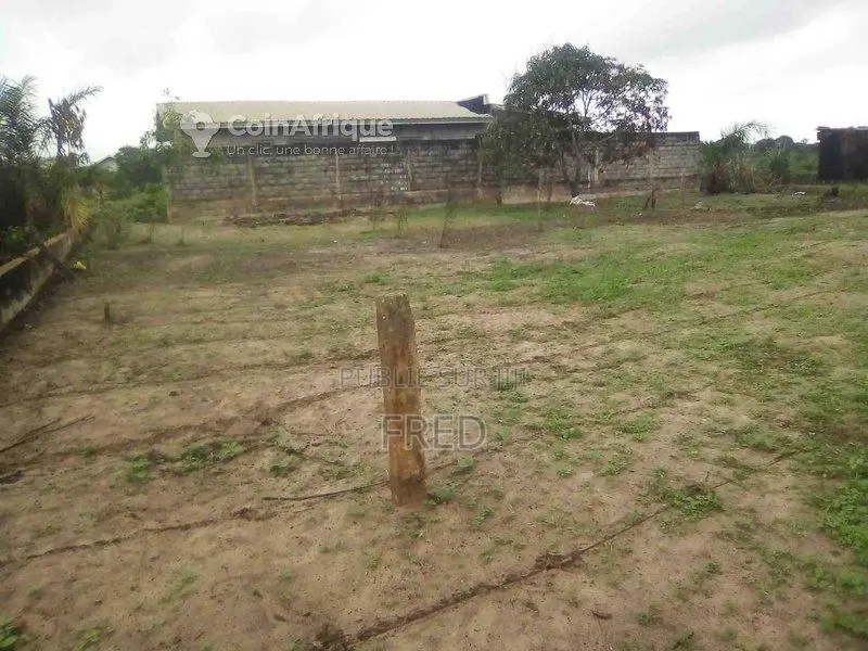 Terrain 500 m² - Pointe noire