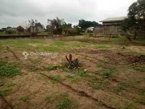 Terrain 500 m² - Pointe noire