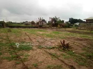 Terrain 500 m² - Pointe noire