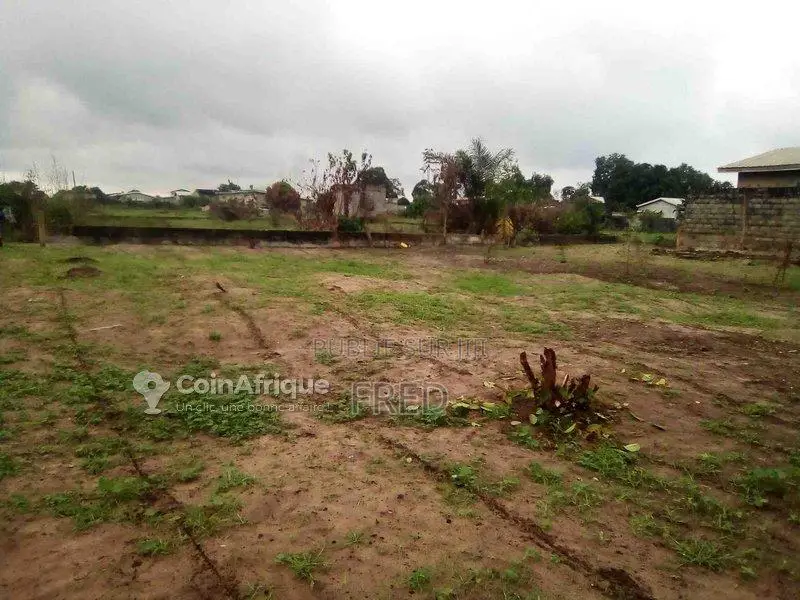 Terrain 500 m² - Pointe noire