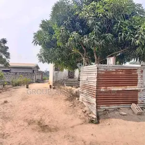 Terrain 500 m² - Pointe noire