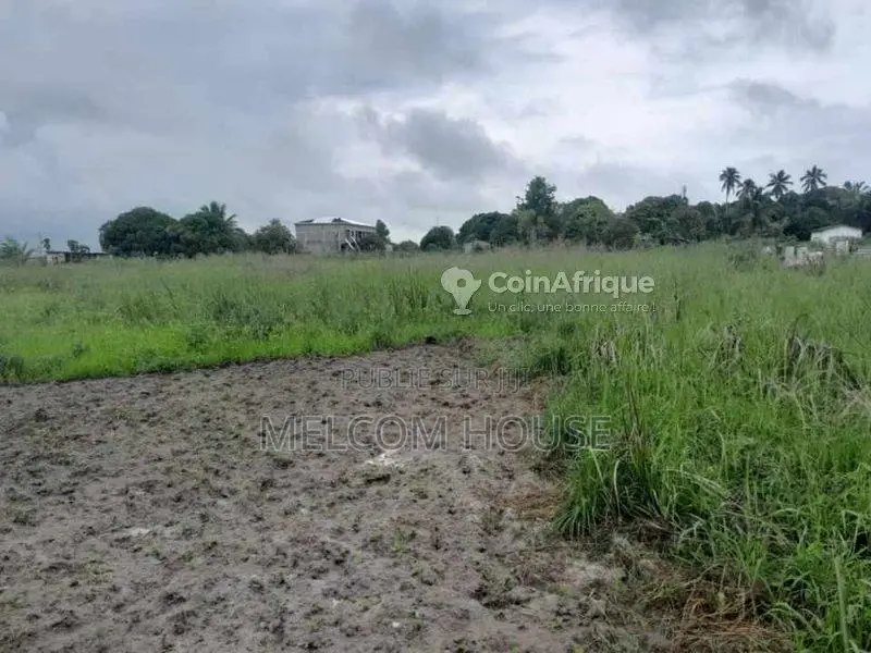 Terrain 10 lots - Djeno