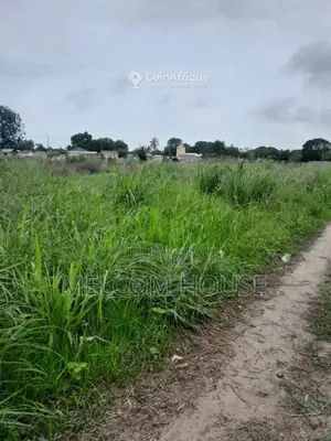 Terrain 10 lots - Djeno