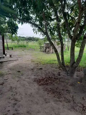 Terrain 10 lots - Djeno